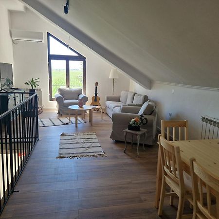 Che Private Rooms Banovci Novi Banovci Екстер'єр фото