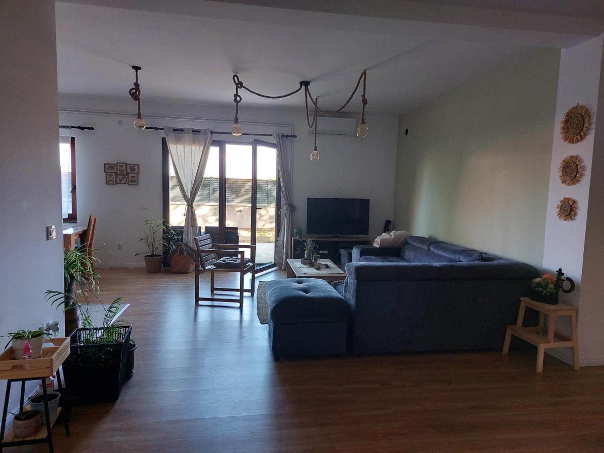 Che Private Rooms Banovci Novi Banovci Екстер'єр фото